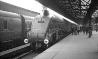 A4 Pacific no 60019 <I>Bittern</I> stands at Buchanan Street in the summer of 1966 after bringing in a train from Aberdeen.<br><br>[K A Gray //1966]