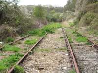 Track still in situ on the former branch to Milford Haven dockside in April 2012. View back towards the operational line connection, with Victoria Road overbridge behind the camera. The station is some 50 metres off to the left - with a car park light visible in the background.<br><br>[David Pesterfield 18/04/2012]