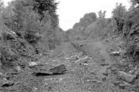 Opened by the GWR in 1910, Combe Hay Halt was situated about a mile east of Dunkerton [see image 38453], with a short tunnel just west of the station. The remains are seen here in 1962, more than 37 years after closure. Sadly, I don't think it featured in 'The Titfield Thunderbolt'. <br><br>[John Thorn //1962]