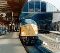 A class 40 stands at Newcastle Central platform 9 with a train in 1981.<br><br>[Colin Alexander //1981]