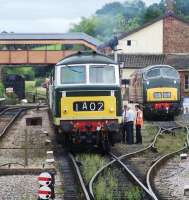 Diesel hydraulics on the West Somerset Railway in September 2012. D7017 and D832 were photographed at Williton. <br><br>[Colin Alexander 02/09/2012]