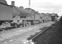 A line of mainly Q6 0-8-0 locomotives in the yard at Thornaby in March 1961. 63370 had arrived at its new home in June 1958 from Newport (Teesside), one of the four old steam sheds in the area replaced by the new 51L.  <br><br>[K A Gray 26/03/1961]