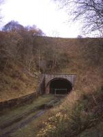Looking north to the southern portal of Bowshank Tunnel on 15th November 2012. The portal seen here is a later addition to the original structure completed for the opening of the Edinburgh-Hawick line in 1849.<br><br>[David Spaven 15/11/2012]