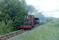 'Holy War' with a train between Bala and Llanuwchllyn on the Bala Lake Railway in July 1981.<br><br>[Colin Miller /07/1981]