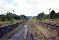 Desolation at Torrington in 1989. [See image 12884]<br><br>[Ian Dinmore //1989]