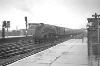 Gateshead A4 no 60001 <I>Sir Ronald Matthews</I> about to run south through a rain soaked Doncaster station on the centre road. The train is the 12.5pm Newcastle Central - London Kings Cross and the date 11 April 1963.<br><br>[K A Gray 11/04/1963]
