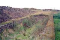 Remains at Ryeland on the Darvel - Strathaven line looking west in 1996, with mysterious recovery of infill material from the former island platform. Ryeland closed to passengers in 1939 along with the line west to Darvel.<br><br>[Ewan Crawford //1996]