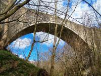 The historic Causey Arch on the Tanfield Railway in March 2013. Dating from 1725, it is the world's oldest surviving single arch railway bridge. [See image 41776]<br><br>[Colin Alexander 30/03/2013]