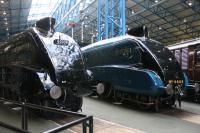 Co-located around the NRM turntable, ahead of the speed record breaking 75th anniversary, are repatriated 60008 <I>Dwight D Eisenhower</I> and resident 4468 (60022) <I>Mallard</I>. The now shiny BR Green of 60008 contrasts with the LNER Garter Blue of its sister. The other four surviving A4s will join them later this summer for the full reunion. <br><br>[Mark Bartlett 20/04/2013]