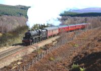 After stalling at the start of the climb up to Slochd Summit, Black 5 no 44871 puts in a forgiving performance as it nears the top on 25 April with the <I>Great Britain VI</I>.<br><br>[John Gray 25/04/2013]