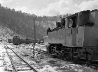 Snow lying at Oskova sidings in the late morning of Saturday 16 March as Czech built 0-6-0T No. 25-30 waits to pick up a load of coal for the washery. In the background diesel-hydraulic No. 740 108 has recently arrived from the mine with yet another trainload. <br><br>[Bill Jamieson 16/03/2013]