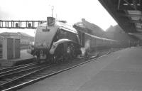 Platform view at the east end of Newcastle Central in the 1960s. A4 Pacific 60028 <I>Walter K Whigham</I> is at the head of an ECML train.<br><br>[K A Gray //]
