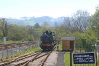 Ex GWR Pannier tank 1369 in the process of running round the train back to Buckfastleigh at Totnes in April 2011.<br><br>[Ian Dinmore 21/04/2011]