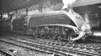 A4 60019 <I>Bittern</I> with a down express passenger train at Newcastle Central around 1958.<br><br>[K A Gray //1958]