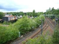 View west over Sunnyside Junction, Coatbridge, on 10 August 2013. Sunnyside station is behind the camera and the freight only line from Whifflet South comes in from the left. Part of Summerlee Industrial Heritage Centre stands in the background. [See image 22309]<br><br>[Veronica Clibbery 10/08/2013]