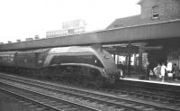 Gresley A4 Pacific no 60008 <I>Dwight D Eisenhower</I> arrives at Doncaster on 1 September 1962 with the 3.43pm service to Kings Cross ex-Leeds Central.<br><br>[K A Gray 01/09/1962]