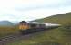 GBRf 66737 <I>Lesia</I> photographed on the long climb up to Corrour Summit on 23 September with a train of empty alumina tanks from Fort William to North Blyth.<br><br>[John Gray 23/09/2013]