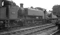 Tank engines in the yard at Cardiff Radyr shed in August 1962 include Collett 0-6-2T 6608 and Hawksworth 0-6-0PT 3400.<br><br>[K A Gray 12/08/1962]