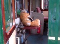 Scandal on the Colne Valley Railway: this chap can bearly drive! Good job he's in the second man's seat.<br><br>[Ken Strachan 20/07/2013]