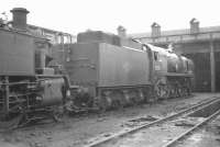 Scene on shed at Exmouth Junction in August 1961, with Bulleid Merchant Navy Pacific no 35003 <I>Royal Mail</I>. <br><br>[K A Gray 18/08/1961]