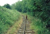 Unrestored track on the Welshpool and Llanfair Light Railway between Sylfaen and Welshpool in the summer of 1974.<br><br>[John Thorn //1974]
