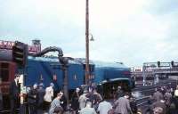 4498 <I>Sir Nigel Gresley</I> takes water at Perth on 20 May 1967 during the A4 Locomotive Society Railtour from Glasgow to Aberdeen [see image 45991].<br><br>[G W Robin 20/05/1967]