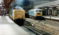 Looking back through the station from the east end of Newcastle Central in 1981 with Deltic and class 47 locomotives at the platforms. The Deltic is 55016 <I>Gordon Highlander</I>.<br><br>[Colin Alexander //1981]