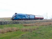 A4 4464 <I>Bittern</I> with support coach heading north over Shap on 15 March 2014. [See image 46651] [Editors note: The 'gauging issues' appear to concern platform clearance at Carlisle, relating to the valances fitted to 4464]<br><br>[Jim Peebles 15/03/2014]