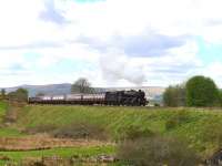 Black Five No.44871 racing along west of Rogart on 12 May with <I>The Cathedrals Explorer</I> on the way to Dunrobin Castle.<br><br>[John Gray 12/05/2014]
