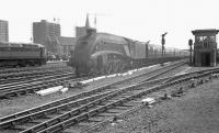 The 10.45am Kings Cross - Edinburgh Waverley about to run non-stop through Doncaster on 31 May 1963 behind an unidentified A4 Pacific. The Brush Type 4 standing on the left is one of the D1500-D1519 batch, the last of which entered BR service that month.<br><br>[K A Gray 31/05/1963]