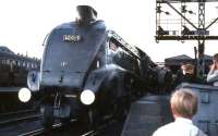 Saturday 3 September 1966 at Buchanan Street, with 60019 <I>Bittern</I> preparing to take out the last A4 hauled BR service to Aberdeen.<br><br>[G W Robin 03/09/1966]