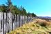 Remains of a snow fence looking south towards Grantown-on-Spey, with the Cairngorms in the distance.<br><br>[John Gray 20/04/2014]