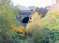 Autumn colours by the eastern portal of <I>Miley Tunnel</I> near Deepdale station in November 2014. Although it is around twenty years since the last train passed through it is only in recent years that vegetation has really taken over. [See image 18397] for the same location less than seven years earlier and 'Yes' the tracks are still there (somewhere). <br><br>[Mark Bartlett 02/11/2014]