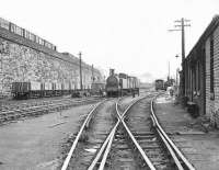 The former goods depot at Stobcross low level, alongside Queen's Dock, looking east towards Glasgow city centre in September 1958. Locomotives in the yard are N15 0-6-2T 69176 (nearest) and J88 0-6-0T 68344, both of 65D Dawsholm shed. The site is now part of the Clydeside Expressway with the supporting wall on the left the only surviving link [see image 8590]. [Ref query 6206] <br><br>[G H Robin collection by courtesy of the Mitchell Library, Glasgow 09/09/1958]
