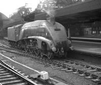 One of Kings Cross shed's A4 Pacifics no 60008 <I>Dwight D Eisenhower</I> stands alongside the platform at Newcastle Central station in the Autumn of 1962.<br><br>[K A Gray //1962]