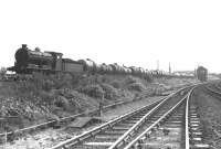 Eastfield based J37 0-6-0 no 64632 with a train of empty tanks westbound near Clydebank East Junction on 4 September 1958. Clydebank East terminus, located behind the camera, closed to passengers in September 1959. [See image 7524]<br><br>[G H Robin collection by courtesy of the Mitchell Library, Glasgow 04/09/1958]