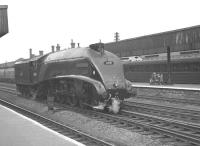 60031 <I>Golden Plover</I> ambles south on the middle road through Doncaster station tender first on 6 July 1963.<br><br>[K A Gray 06/07/1963]