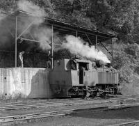 Czech built 0-6-0T No. 25-30 is manually coaled at Oskova Yard following the afternoon shift change on Sunday 28th September 2014 - operations here go on seven days a week such is the demand for coal from the power station at Tuzla.<br><br>[Bill Jamieson 28/09/2014]