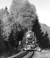 Metre gauge 2-10-2T 99 7241 blasts up the five mile long climb between Steinerne Renne and Drei Annen Hohne with the 09:25 Wernigerode - Brocken service in October 2006. The location is towards the end of a long stretch of 1 in 30 gradient which eases to 1 in 50 for the final half mile or so into Drei Annen Hohne.<br><br>[Bill Jamieson 17/10/2006]