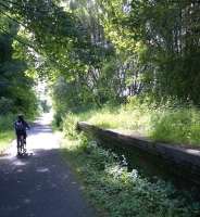 Light and shade. Looking South on the cycle path parallel to the Glasgow to Ayr line at Kilbarchan in July 2015. [See image 52151] <br><br>[Ken Strachan 15/07/2015]