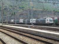 A line of four Renfe Mercancías operated Bombardier Traxx 3KV DC Bo-Bo electric freight locos stand alongside Portbou station in August 2015, with dirty 253-082 and immaculate 253-095 the nearest pair. These locos were built to operate on the wider 1668mm gauge lines in Spain, unlike the Traxx locos of other operators which are all for standard 1435mm gauge operation. The interchange yard with SNCF is to right of view.<br><br>[David Pesterfield 07/08/2015]