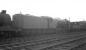 A2 no 60537 <I>Bachelor's Button</I> stands in the 'locomotives awaiting disposal' sidings at Bathgate on 28 March 1964. Withdrawn from St Margarets at the end of 1962 after just over 14 years service, the Pacific was eventually cut up at Messrs Henderson of Airdrie in June 1964. For a view of the locomotive in its heyday [see image 30174].<br><br>[K A Gray 28/03/1964]