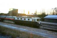 Taken at half past noon with slightly more than an hour left till sunset, ASEA (the A in ABB) built Ma-class loco 827 of Netrail (a loco-hiring agency) and two Inlandsbanan Y1 railbusses [see image 54977] sit in the loco sidings at Östersund in November 2013.<br><br>[Charlie Niven 22/11/2013]