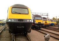 The HST Celebrated its 40th birthday with an open day at St Philips Marsh depot, Bristol, on Bank Holiday Monday. Here are six different liveries (FGW, Grand Central, Network Rail, Virgin, EMT, and GWR), with the prototype power car just visible in the left background. [See recent news item]<br><br>[Ken Strachan 02/05/2016]