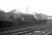 The shed yard at Kingmoor on 7 March 1964, with A2 Pacific no 60524 <I>Herringbone</I> centre stage.<br><br>[K A Gray 07/03/1964]