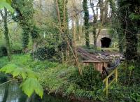 Another view of the tunnel [see image 55276] and its verdant surroundings. Local knowledge was very useful in finding this viewpoint!<br><br>[Ken Strachan 30/04/2016]
