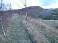 The closed, but retained, line west of Pennyvenie Colliery in 2004. Not surprisingly there's been some tree growth on the trackbed.<br><br>[Ewan Crawford 22/02/2004]
