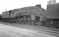 Gresley A4 Pacific 60015 <I>Quicksilver</I> photographed on Doncaster shed in 1961.<br><br>[K A Gray //1961]