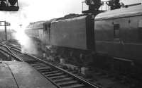 60019 <I>Bittern</I> prepares to take an ECML service out of Newcastle Central in 1961. <br><br>[K A Gray //1961]