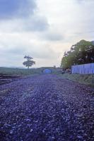 Looking south to the unclassified road bridge over the line just south of Hassendean station in 1974. The sidings were on the left.<br><br>[Jim Scott //1974]